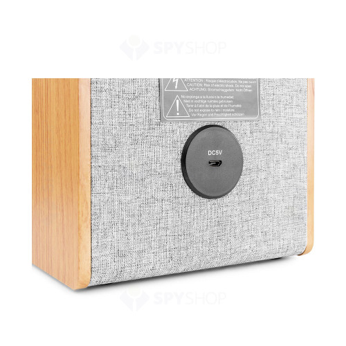 Boxa portabila Fenton VBS40 110.004, 4 inch, 20W, Bluetooth/USB