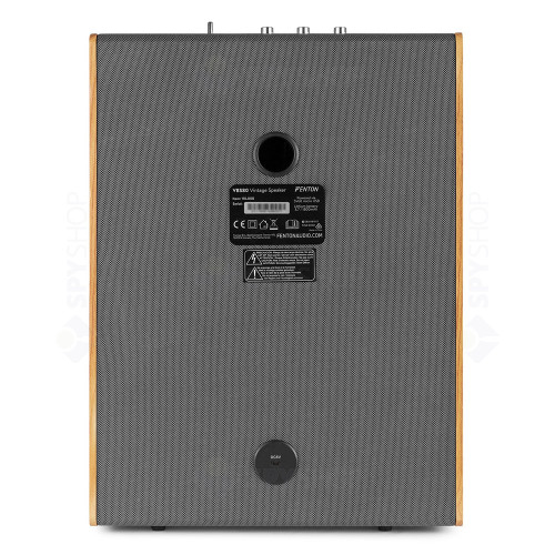Boxa portabila Fenton VBS80 110.008, Bluetooth, 8 inch, 40W