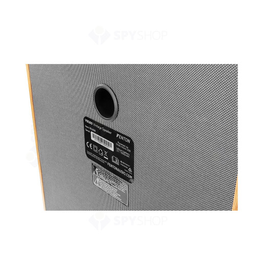 Boxa portabila Fenton VBS80 110.008, Bluetooth, 8 inch, 40W