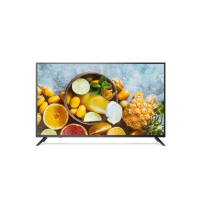 LED MONITOR 50” 4K 300CD
